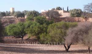 Vendita Proprietà Essaouira