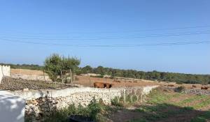 Vendita Proprietà Ferreries