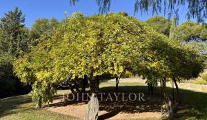 Vendita Proprietà La Cadière-d'Azur