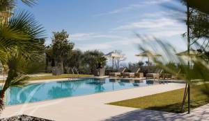 Vendita Proprietà La Colle-sur-Loup