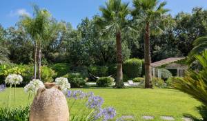 Vendita Proprietà La Colle-sur-Loup