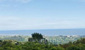 Vendita Proprietà La Colle-sur-Loup