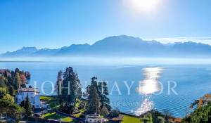 Vendita Proprietà La Tour-de-Peilz