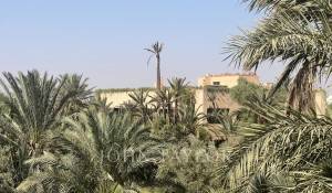 Vendita Proprietà Marrakech