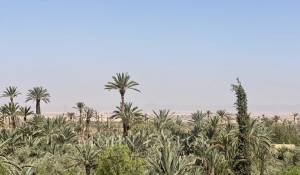 Vendita Proprietà Marrakech