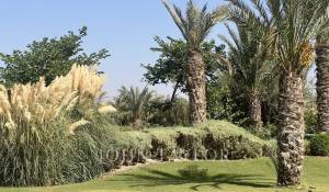 Vendita Proprietà Marrakech