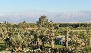 Vendita Proprietà Marrakech