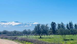 Vendita Proprietà Marrakech