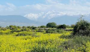 Vendita Proprietà Marrakech