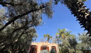 Vendita Proprietà Marrakech