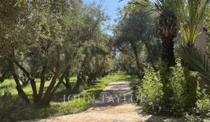 Vendita Proprietà Marrakech