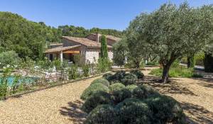 Vendita Proprietà Ménerbes