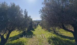 Vendita Proprietà Ollioules