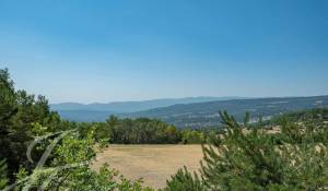 Vendita Proprietà Oppedette