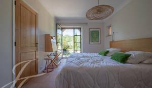 Vendita Proprietà Oppedette