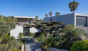 Vendita Proprietà Ramatuelle