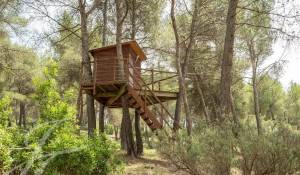 Vendita Proprietà Simiane-Collongue