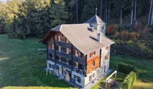 Vendita Proprietà Sion