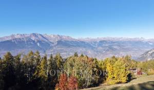 Vendita Proprietà Sion