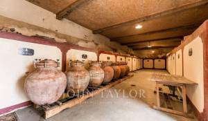 Vendita Proprietá vignicola Bordeaux