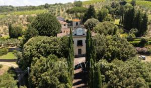 Vendita Proprietá vignicola Firenze