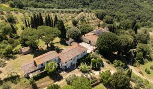 Vendita Proprietá vignicola Firenze