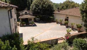 Vendita Proprietá vignicola Firenze