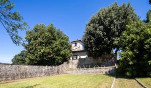 Vendita Proprietá vignicola Firenze