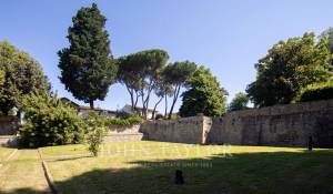 Vendita Proprietá vignicola Firenze