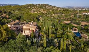 Vendita Proprietá vignicola Palma de Mallorca
