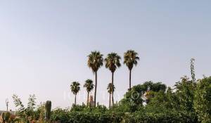 Vendita Riad Marrakech