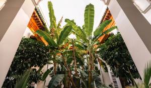 Vendita Riad Marrakech