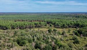 Vendita Riserva di caccia Chambord