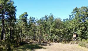 Vendita Riserva di caccia Chambord