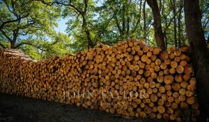 Vendita Riserva di caccia Chambord