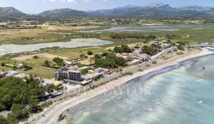 Vendita Stabile Alcudia