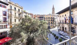 Vendita Stabile Palma de Mallorca