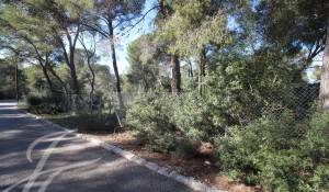 Vendita Terreno Cala Vinyes