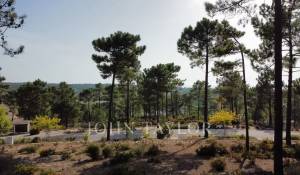 Vendita Terreno Carvalhal