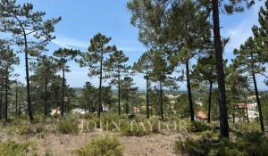 Vendita Terreno Carvalhal