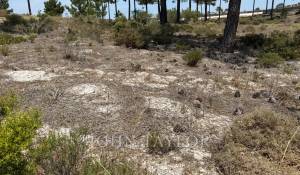 Vendita Terreno Carvalhal