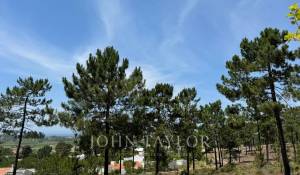 Vendita Terreno Carvalhal