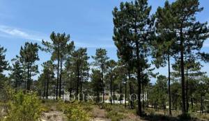 Vendita Terreno Carvalhal