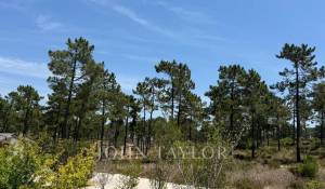 Vendita Terreno Carvalhal