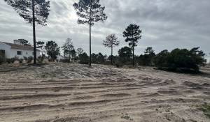 Vendita Terreno Carvalhal