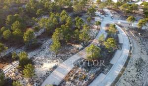 Vendita Terreno Carvalhal