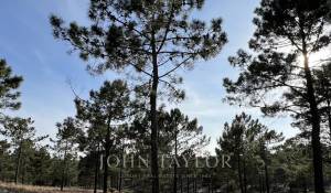 Vendita Terreno Carvalhal