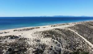 Vendita Terreno Carvalhal