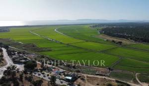 Vendita Terreno Carvalhal