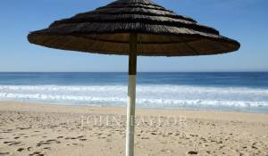 Vendita Terreno Comporta